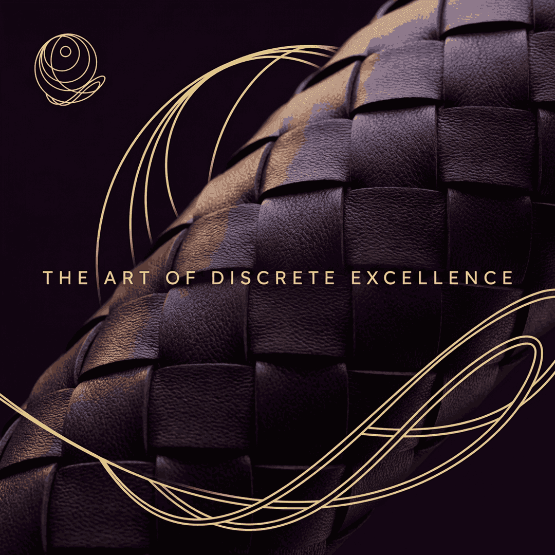 Fake Logo BV ad creative